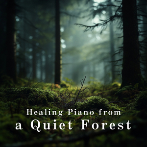 Gliding Over Day's Last Light