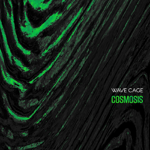 Cosmosis