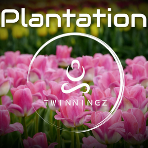 Plantation