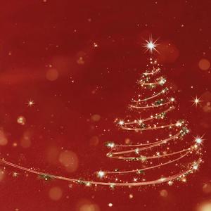 Waiting for Santa's Sleigh