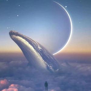 鲸落wf end(1)（翻自 赵俊铭）