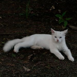 请你不要打扰我的生活