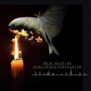 Şema Düşen Pervaneler