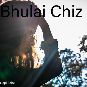 Bhulai Chiz