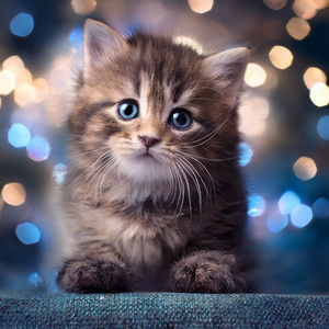 El Resplandor Del Cielo Nocturno