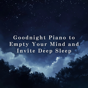 Falling Stars Across Silence