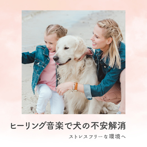 愛犬と共に過ごす静寂