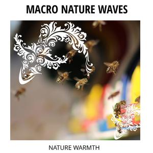 Blissful Hawk Screech