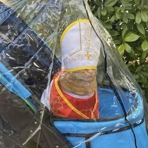 udj×hyperpop×anime type beat