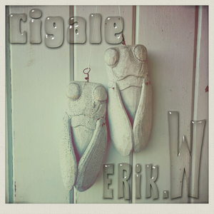 Cigale