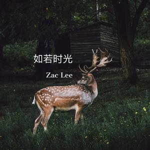 如若时光