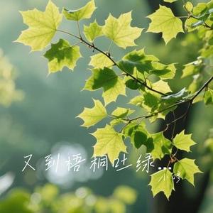 又到梧桐吐绿时 (Cover 张杰)