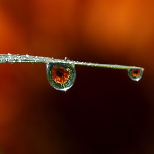 窗边的雨声(白噪音纯音乐大全)