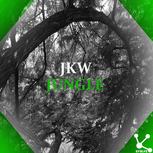 Jungle (Original Mix)