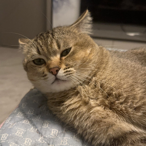 不要为了我哭泣.wav