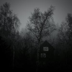 Tonight (feat. rachel & Tommy Blve)