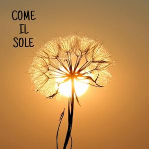 Come il sole