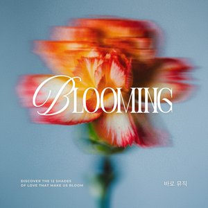 Hide & Seek (숨바꼭질)