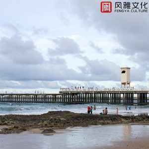 朝花夕拾 -小提琴