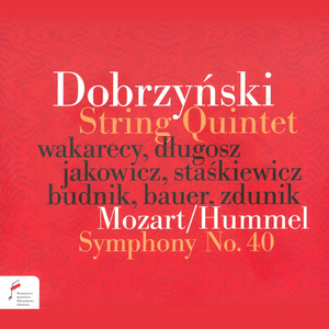 Ignacy Feliks Dobrzyński: String Quintet No.1 in F Major, Op. 20: I. Allegro moderato