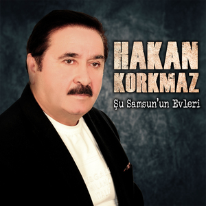 Şu Samsun'un Evleri