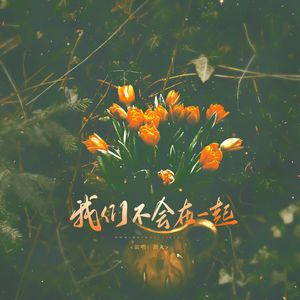 我们不会在一起