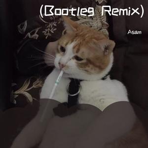 南征北战NZBZ-哈尼宝贝（Asam remix）