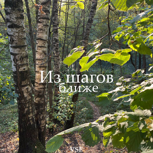 Из шагов ближе