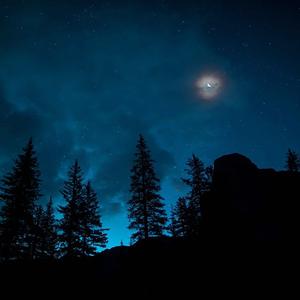 寂静森林（睡觉催眠曲）