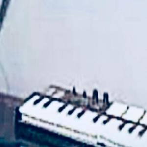 True luv (Acapella )