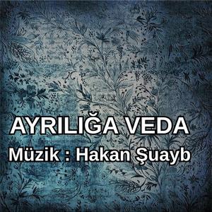 Ayrılığa Veda - Enstrümantal
