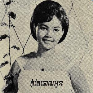 សត្វចាបយំជីប