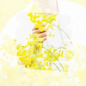 花田错（博君一肖花田初遇三周年贺曲）（翻自 I.O.I）