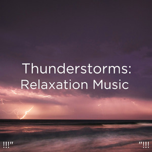 호우 잠