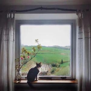 云上加冕The Crown In The Clouds