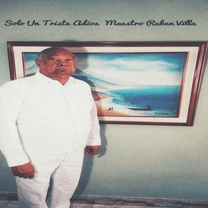 Solo un Triste Adios