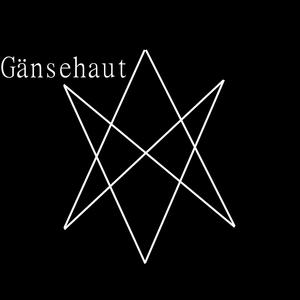 Gänsehaut (HEXAGRAM 2)