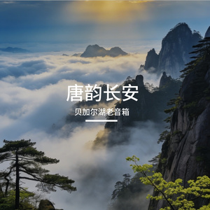 唐韵长安