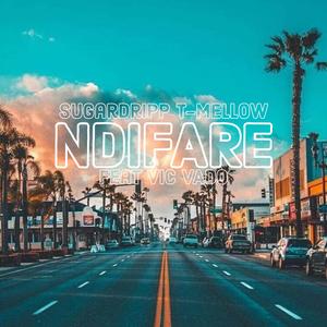 Ndifare (feat. Vic Vado)