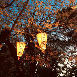 恋影花火 ～ Ephemeral Sparks of Yearning