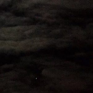 心中早已开满了一座花园