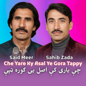 Che Yare Ky Asal Ye Gora Tappy