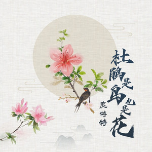 杜鹃是鸟也是花 (DJ版)