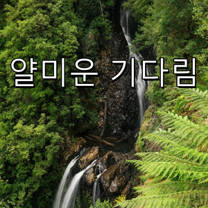 하지만 그것도 사랑이야