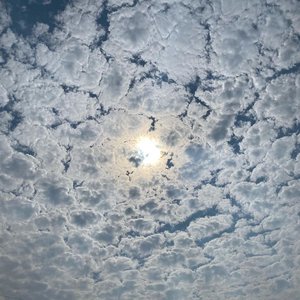 白色情人节 (feat Capricorn）