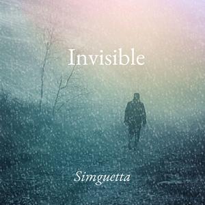 Invisible