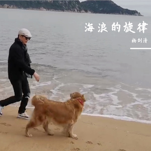 静－杨剑