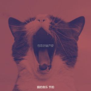 温和放松的猫梦想