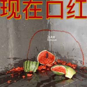 每当我用词不当