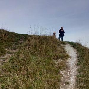 The Pursuit of Happiness